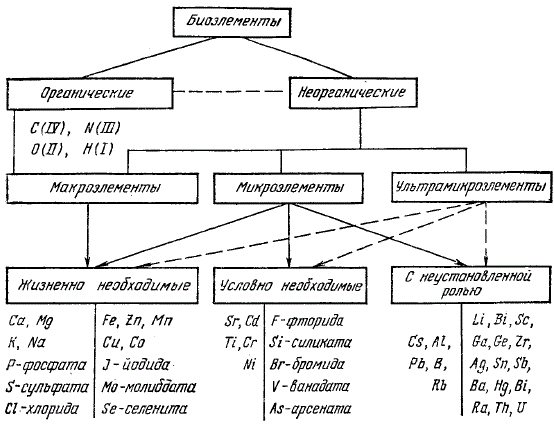 Схема классификации элементов тела животных с учетом их концентрации и биологической роли в организме