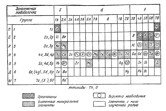 Развернутый график периодической системы биоэлементов