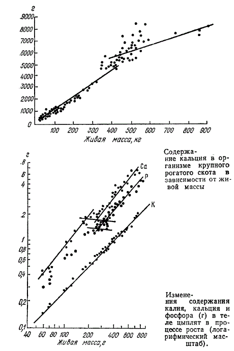 Содержание кальция в организме крупного рогатого скота в зависимости от живой массы. Изменения содержания калия, кальция и фосфора (г) в теле цыплят в процессе роста (логарифмический масштаб)
